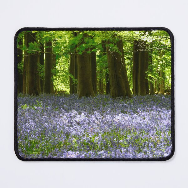 Item preview, Digital Photograph, Sunlit bluebell beech woodland designed and sold by SimonJohnson1.
