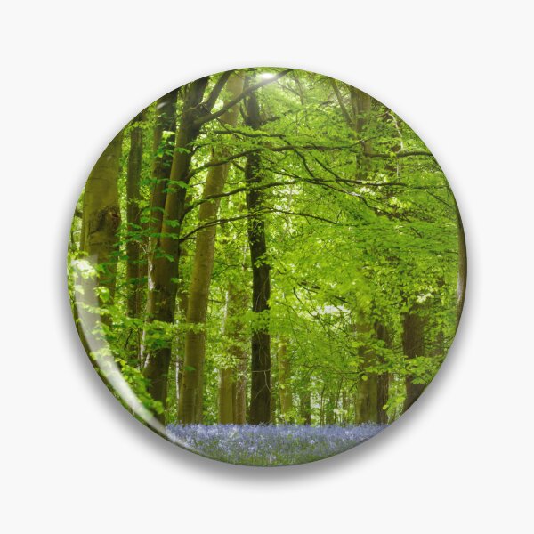 Item preview, Digital Photograph, Sunlit bluebell beech woodland designed and sold by SimonJohnson1.