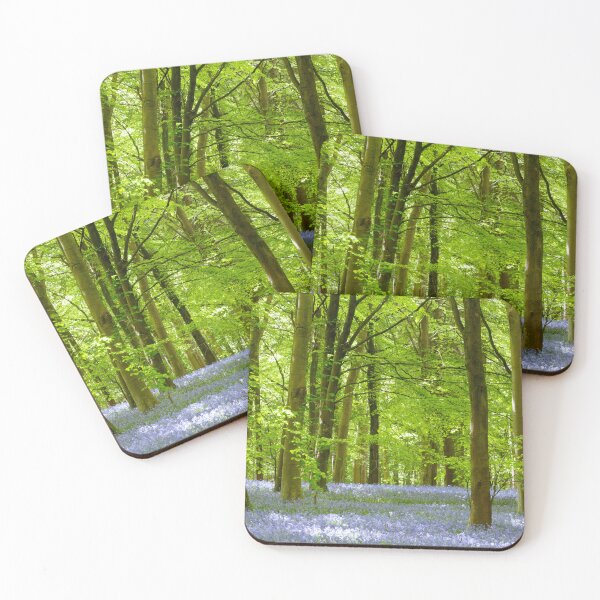 Item preview, Digital Photograph, Sunlit bluebell beech woodland designed and sold by SimonJohnson1.
