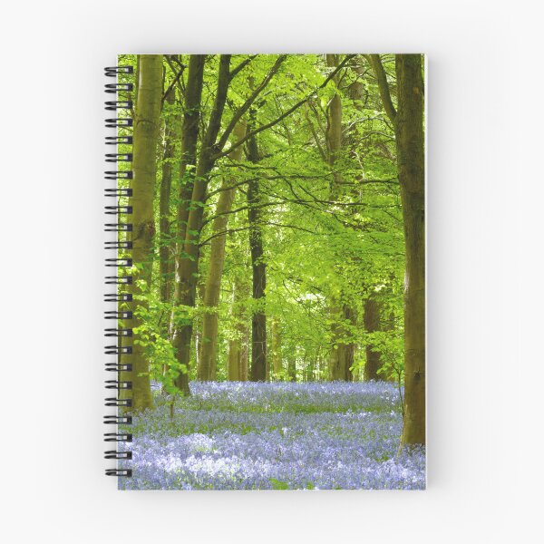 Item preview, Digital Photograph, Sunlit bluebell beech woodland designed and sold by SimonJohnson1.