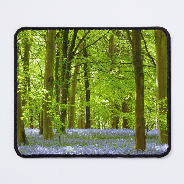 Item preview, Digital Photograph, Sunlit bluebell beech woodland designed and sold by SimonJohnson1.