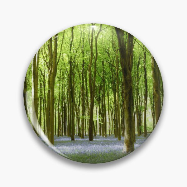 Item preview, Digital Photograph, Sunlit bluebell beech woodland designed and sold by SimonJohnson1.