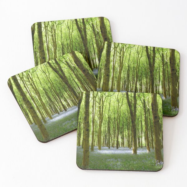 Item preview, Digital Photograph, Sunlit bluebell beech woodland designed and sold by SimonJohnson1.