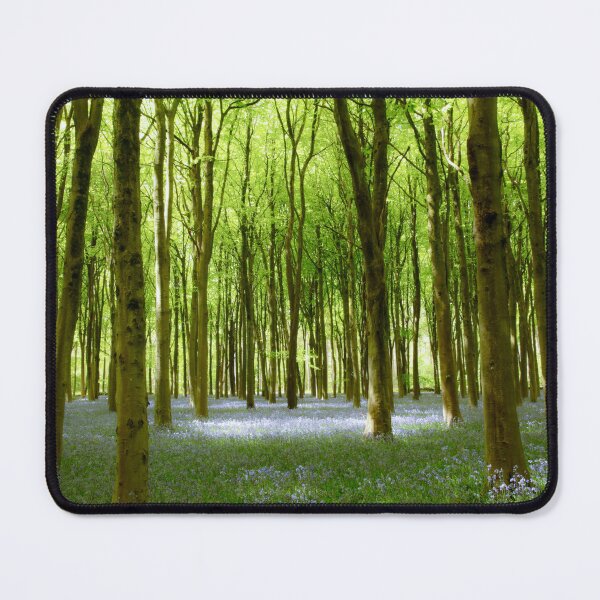 Item preview, Digital Photograph, Sunlit bluebell beech woodland designed and sold by SimonJohnson1.