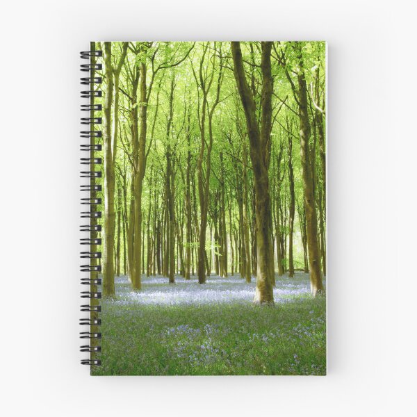 Item preview, Digital Photograph, Sunlit bluebell beech woodland designed and sold by SimonJohnson1.