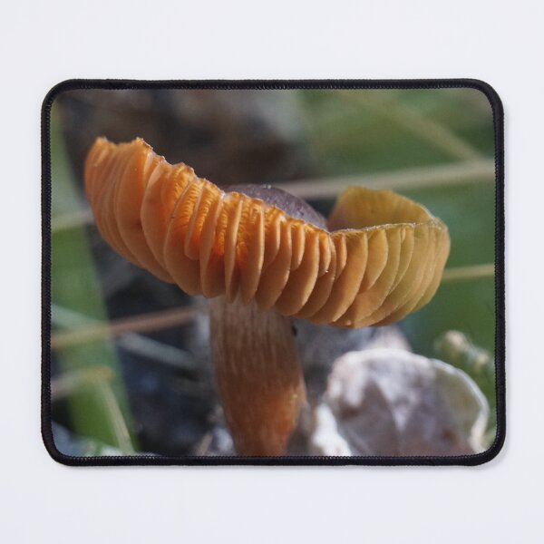 Item preview, Cup Mushroom designed and sold by Raulworks.