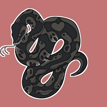 Artwork thumbnail, Axanthic Ball Python  by CorVoidae