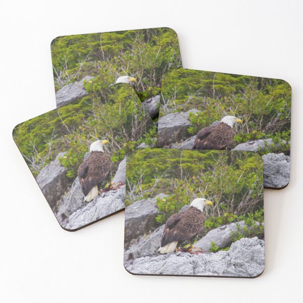 Item preview, Eagle's eye view in the wilderness designed and sold by rhosbahu.