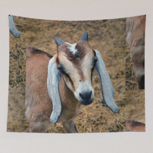 Item preview, Goat designed and sold by Savannah Gibbs.