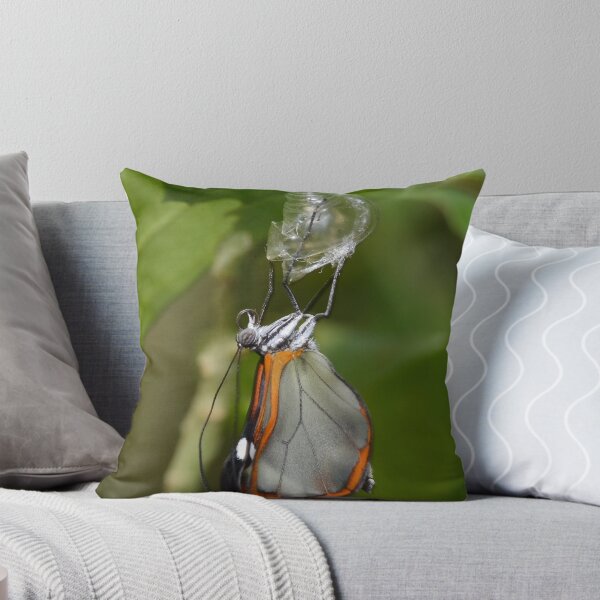 Item preview, How Glasswings are made.............. designed and sold by Macky.
