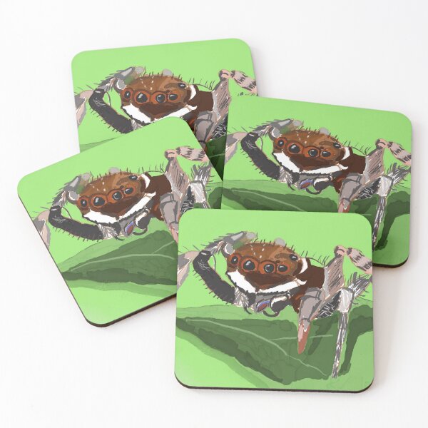 Item preview, Adanson’s House Jumper  Spider designed and sold by pinkyjainpan.