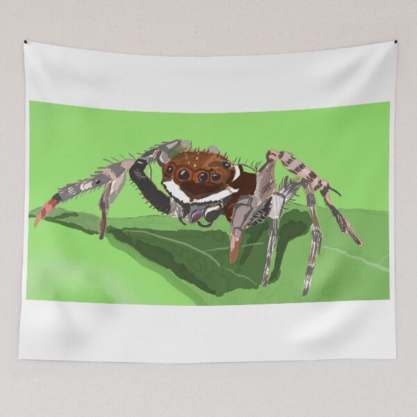 Item preview, Adanson’s House Jumper  Spider designed and sold by pinkyjainpan.