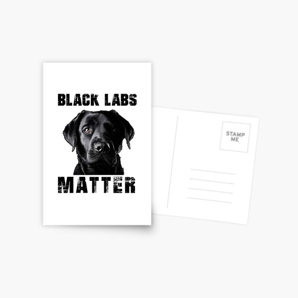 black labs near me