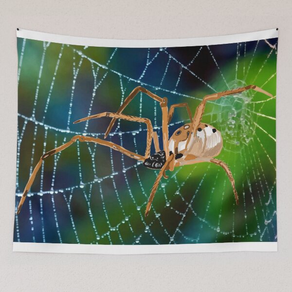 Item preview, Brown Widow Spider designed and sold by pinkyjainpan.