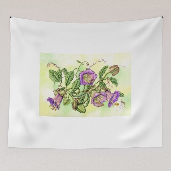 Item preview, Cathedral Bell, Cobaea scandens (watercolour on paper) designed and sold by Painting By Nature.