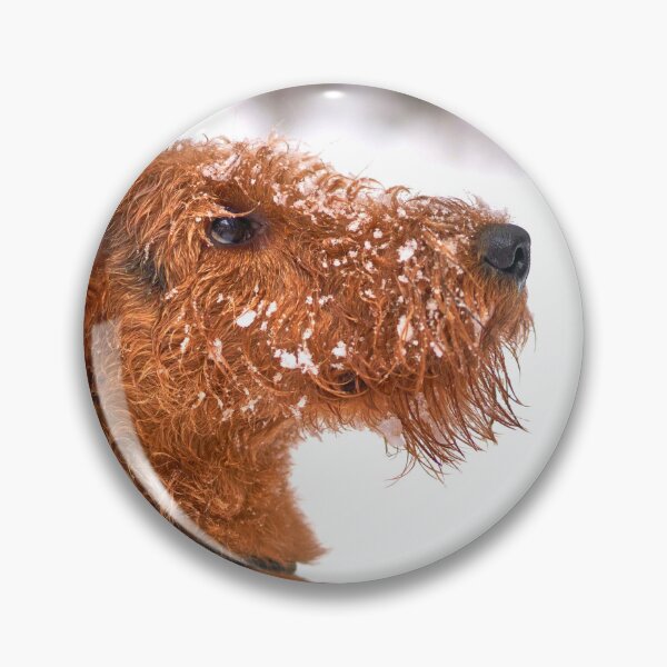 Item preview, Airedale Terrier Photo designed and sold by TheAnimalZ00.