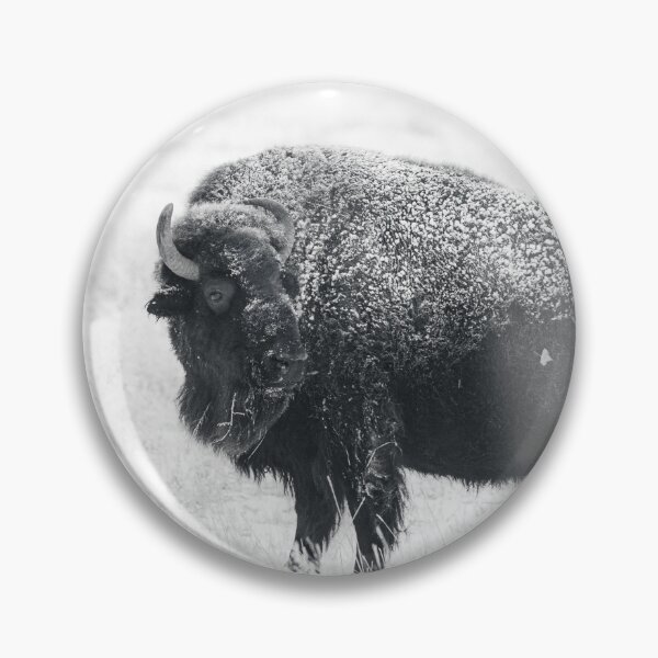 Item preview, American Bison Black And White Photo designed and sold by TheAnimalZ00.