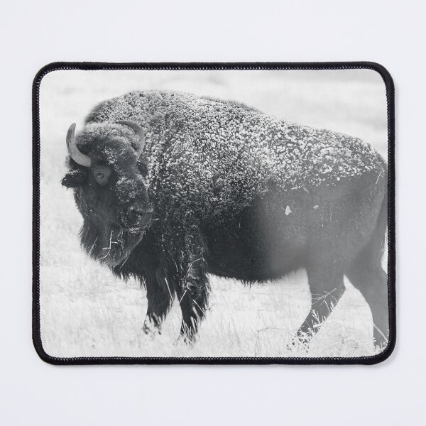 Item preview, American Bison Black And White Photo designed and sold by TheAnimalZ00.