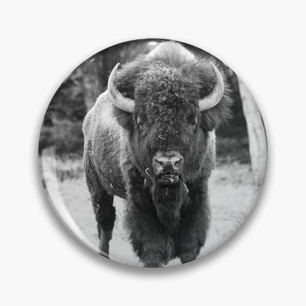 Item preview, Black and White American Bison Photo designed and sold by TheAnimalZ00.