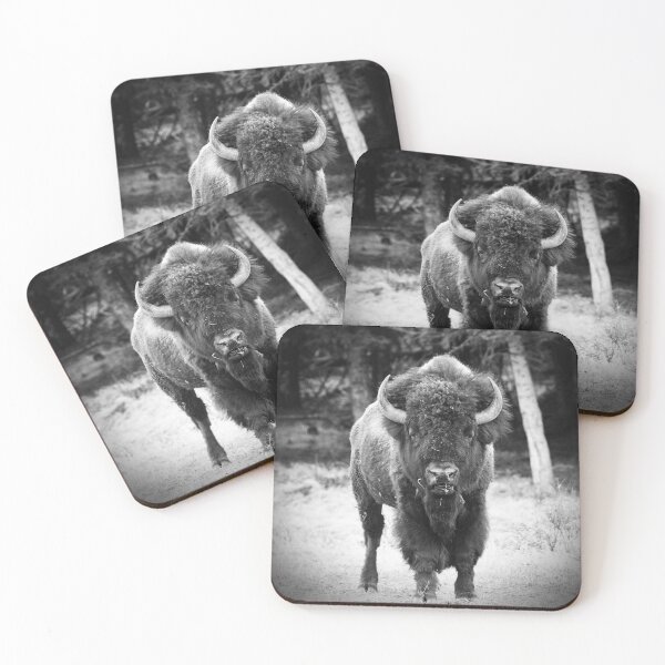 Item preview, Black and White American Bison Photo designed and sold by TheAnimalZ00.