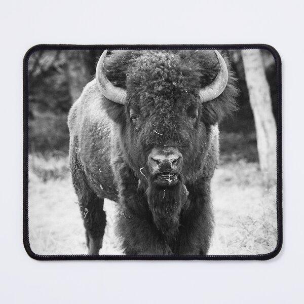Item preview, Black and White American Bison Photo designed and sold by TheAnimalZ00.