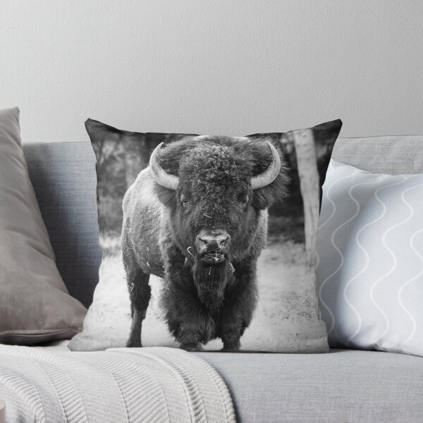 Item preview, Black and White American Bison Photo designed and sold by TheAnimalZ00.