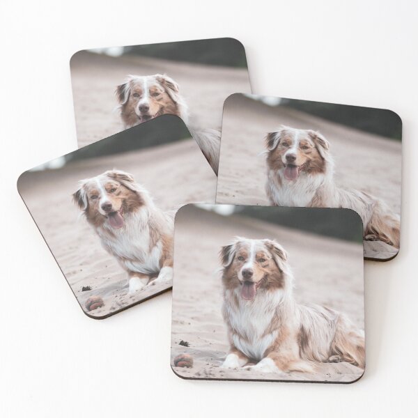 Item preview, Cute Australian Shepherd Photo designed and sold by TheAnimalZ00.