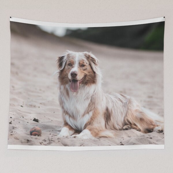 Item preview, Cute Australian Shepherd Photo designed and sold by TheAnimalZ00.