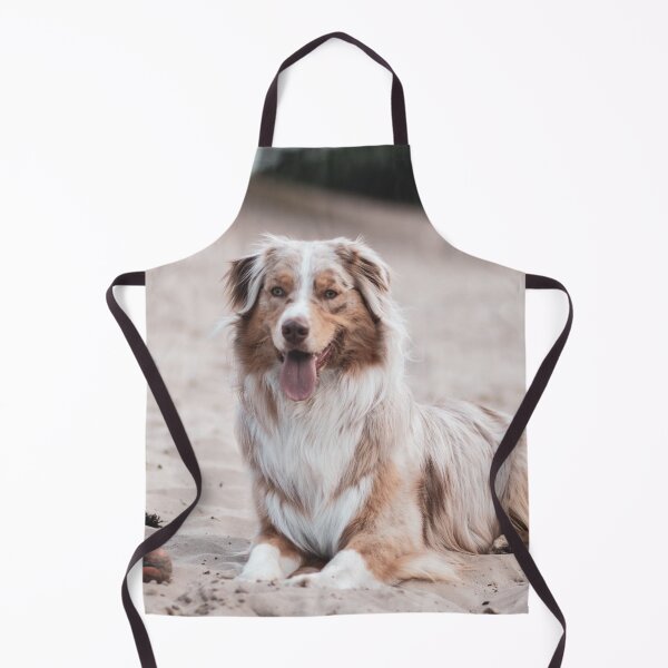Item preview, Cute Australian Shepherd Photo designed and sold by TheAnimalZ00.