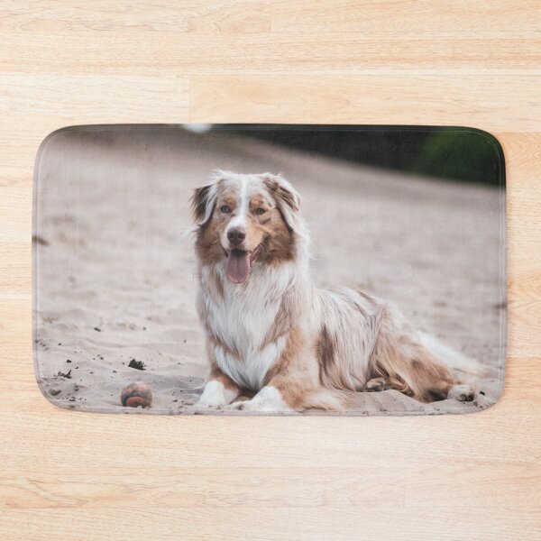Item preview, Cute Australian Shepherd Photo designed and sold by TheAnimalZ00.