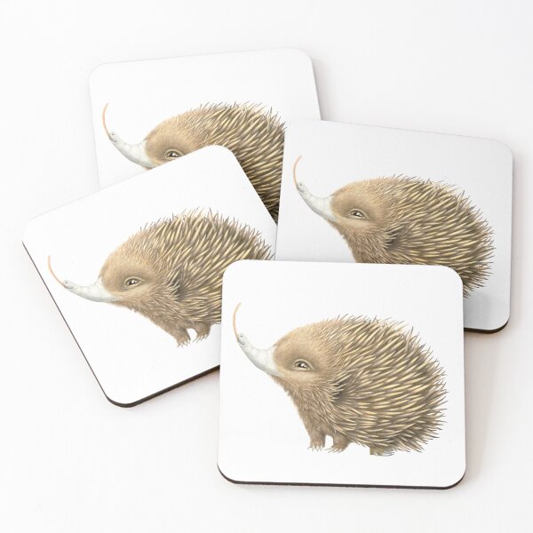 Item preview, Echidna baby drawing designed and sold by Shell North | Little Quirk of Art.