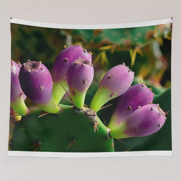 Item preview, Cactus Fruit designed and sold by Jeffrey Mask.