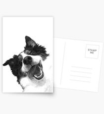 Black and White Happy Dog Postcards