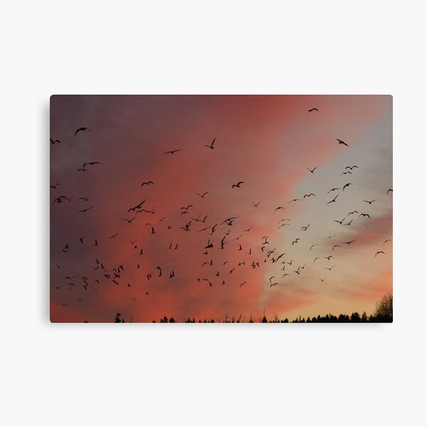 Sunset after work! Canvas Print