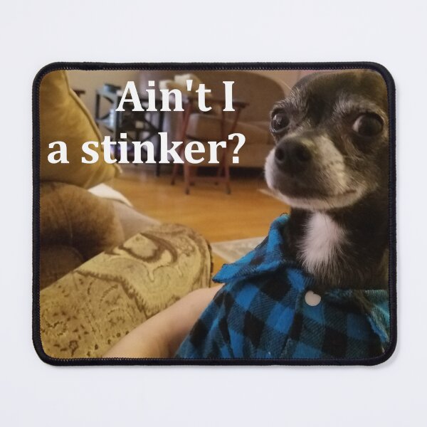 Item preview, The Little Dog - Elvis - Stinker designed and sold by diandlildog.