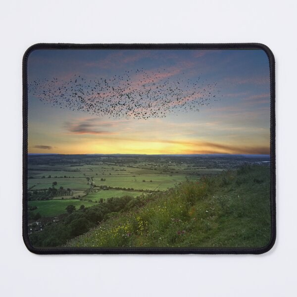 Item preview, Somerset Levels Starling Murmuration designed and sold by Alisonchambers2.