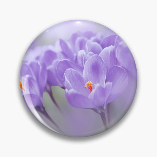 Item preview, Crocuses designed and sold by Alisonchambers2.