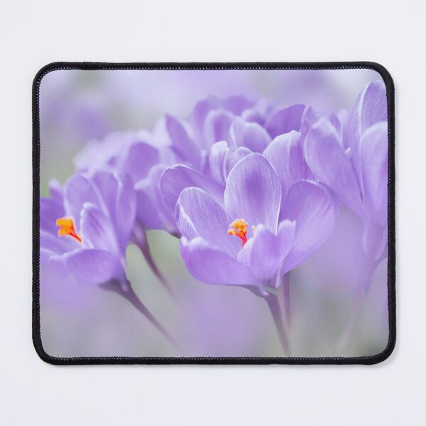 Item preview, Crocuses designed and sold by Alisonchambers2.