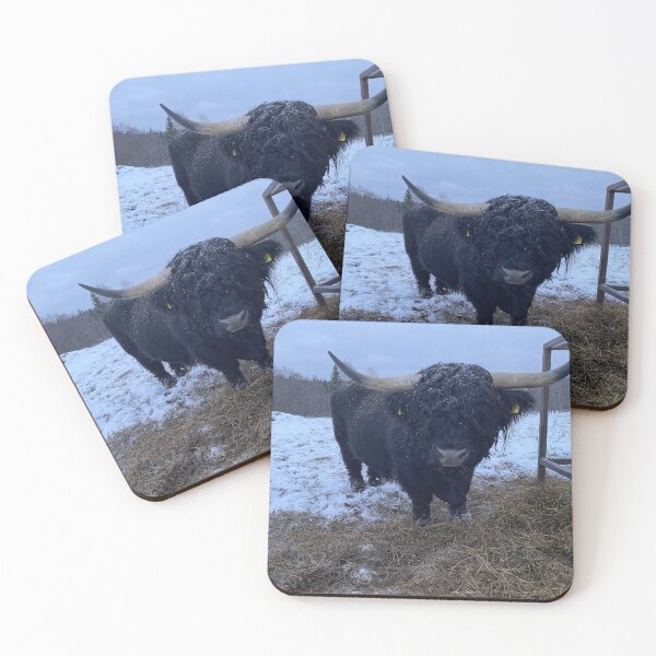 Item preview, Scottish Highland Cattle Bull 4656 designed and sold by SaarelaHighland.