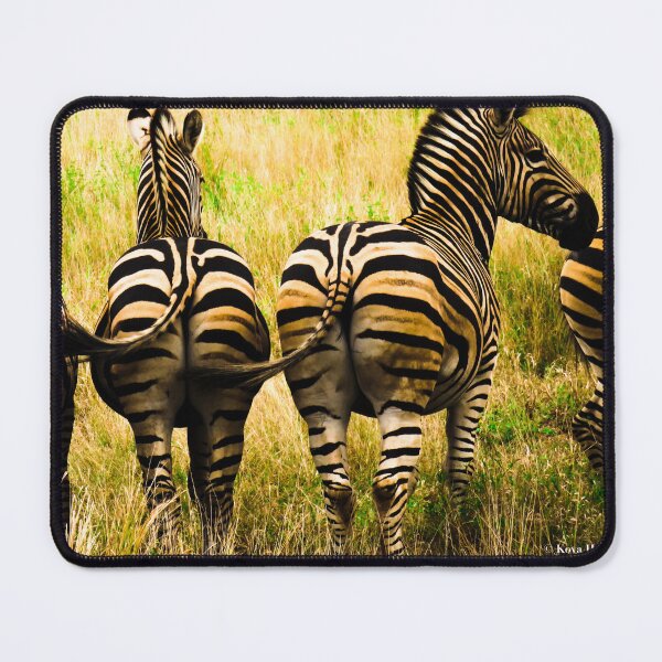Item preview, Back of zebras South Africa designed and sold by KoyaHL.