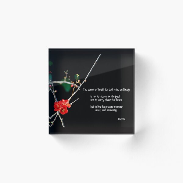 The Secret Of Health Acrylic Block