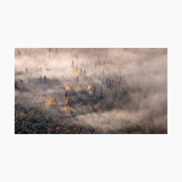 Item preview, Autumn treetops in the mist (alternative variant) designed and sold by Wojtek Rygielski.