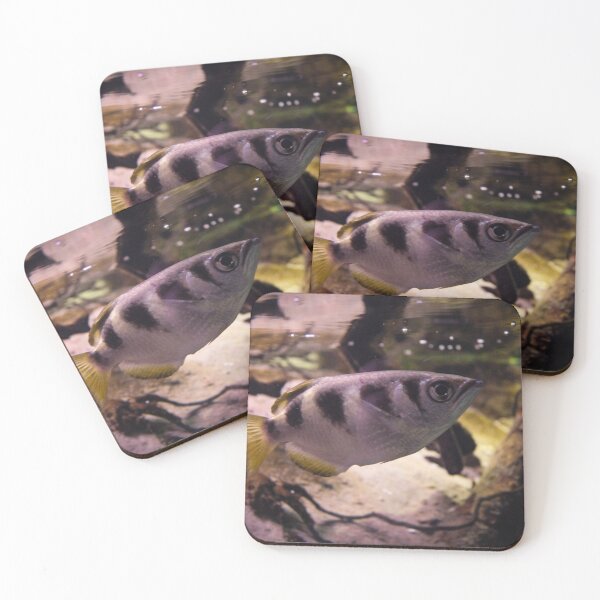 Item preview, Why so serious? designed and sold by Belles-Photos.