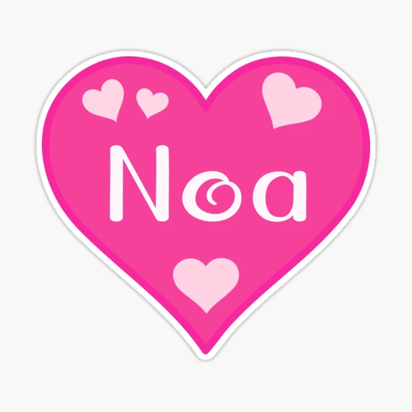 Noa♥️様確認用 Noa Name Pink Heart 