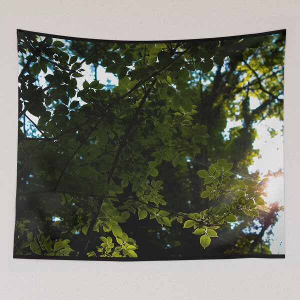 Item preview, Sun between the leaves designed and sold by Belles-Photos.