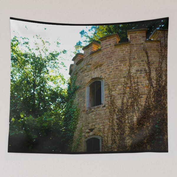 Item preview, Overgrown castle designed and sold by Belles-Photos.