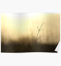 Sunset Serenity Poster