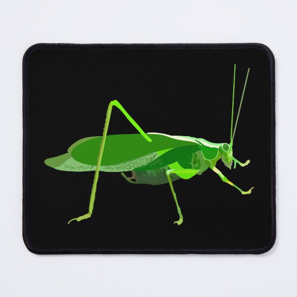 Item preview, K is for Katydid,Katydid Illustration – Unique Insect Art for Nature and Wildlife Lovers designed and sold by PrettylittlepastelUk.
