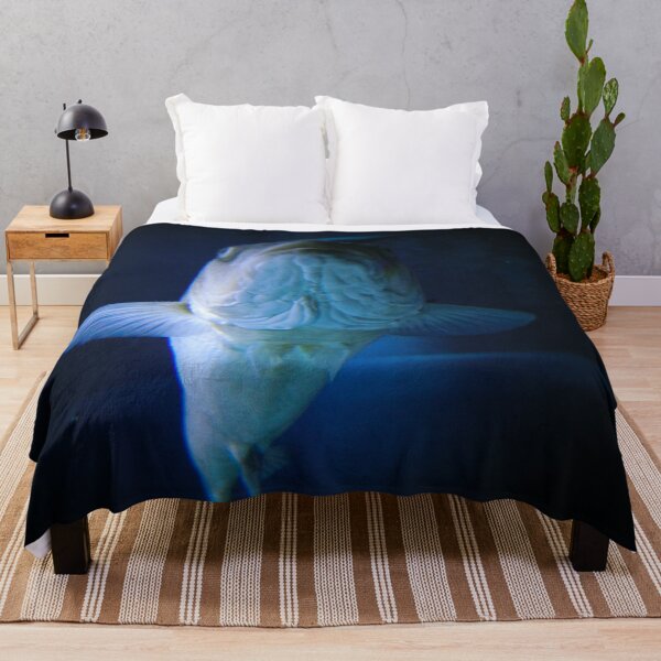 Item preview, Belly of the fish designed and sold by Belles-Photos.