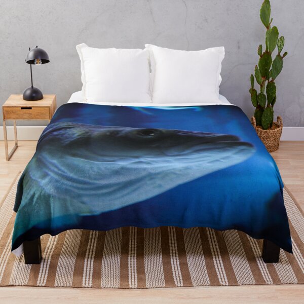Item preview, Fish head designed and sold by Belles-Photos.